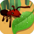 蚂蚁进化3d正式版免广告最新版 v1.0