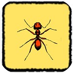 蚂蚁世界游戏最新版 v1.0